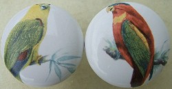 CERAMIC cabinet knob  PARROT  EXOTIC BIRD