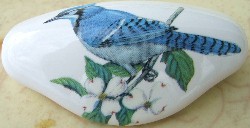 Drawer Pull Domestic bird BlueJay