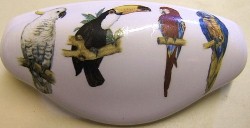 CERAMIC drawer pull  PARROT  EXOTIC BIRD macaw tucan