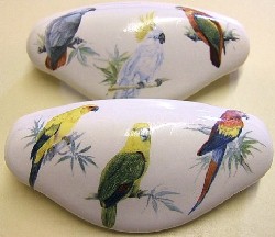 Drawer Pulls Tropical birds