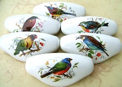 Cabinet drawer pulls 6 Domestic Birds