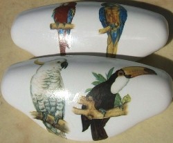 CERAMIC drawer pull  PARROT  EXOTIC BIRD macaw tucan