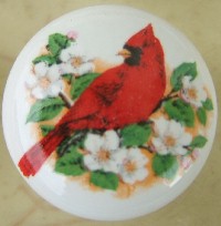 CERAMIC CABINET KNOBS CARDINAL BIRD