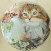 CERAMIC CABINET KNOB pulls CATS KITTEN TABBY CALICO 