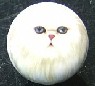 CERAMIC CABINET KNOB pulls CATS KITTEN  Chinchilla