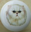 CERAMIC CABINET KNOB pulls CATS KITTEN  Chinchilla