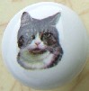 CERAMIC CABINET KNOB pulls CATS KITTEN TABBY 