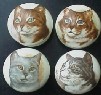 CERAMIC CABINET KNOB CAT CATS KITTEN