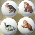 Cabinet knobs 4 Kittens