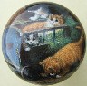 CERAMIC CABINET KNOB pulls CATS KITTEN barn #3