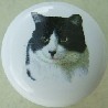 CERAMIC CABINET KNOB pulls CATS KITTEN BLACK white