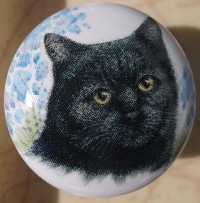 CERAMIC CABINET KNOB pulls CATS KITTEN TABBY BLACK