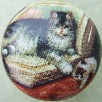 CERAMIC CABINET KNOB pulls CATS KITTEN pretty#2