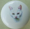 CERAMIC CABINET KNOB pulls CATS KITTEN  white short hair