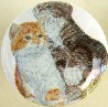 Cabinet knob pulls Cute Kittens cat