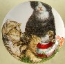 Cabinet knob pulls Cute Kittens cat