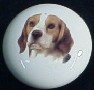 cabinet knob beagle