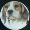 cabinet knob beagle