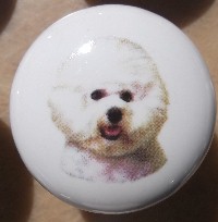 cabinet knob bichon frise