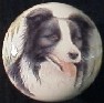 cabinet knob border collie