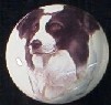 cabinet knob border collie