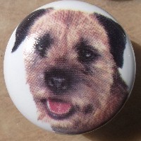 cabinet knob border terrier