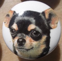cabinet knob chihuahua black