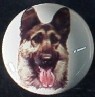 ceramic cabinet knob german shepherd dog