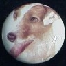 ceramic cabinet knob jack russell terrier