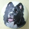 Cabinet knob border collie