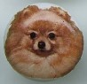 www.mariansceramics.com Pomeranian pappilon  cabinet knobs