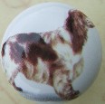 ceramic cabinet knob springer spaniel