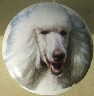 ceramic cabinet knob white poodle