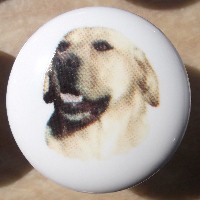 ceramic cabinet knob yellow labrador retriever