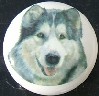 ceramic cabinet knob malamute