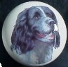 ceramic cabinet knob springer spaniel
