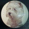 cabinet knob West Highland terrier