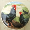 CERAMIC CABINET KNOB  rooster HEN chicken