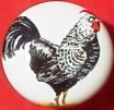 CERAMIC CABINET KNOB  rooster HEN chicken