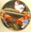 Cabinet Knob Freerange Chickens #2
