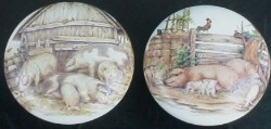 Cabinet Knob Pigs swine