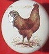 CERAMIC CABINET KNOB  BRN RED rooster