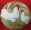 CERAMIC CABINET KNOB  WHITE rooster HEN