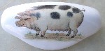 Folksie Pig Drawer Pull