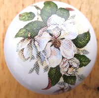 Cabinet Knob Magnolia