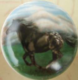 CERAMIC CABINET KNOBS KNOB HORSE APPALOOSA