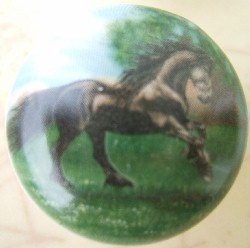 CERAMIC CABINET KNOBS KNOB HORSE FREISIAN FRIESIAN