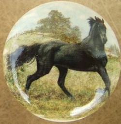 CERAMIC CABINET KNOBS KNOB HORSE Arabiian