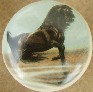 CERAMIC CABINET KNOBS KNOB HORSE Arabiian