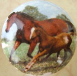 CERAMIC CABINET KNOBS KNOB HORSE FAMILY